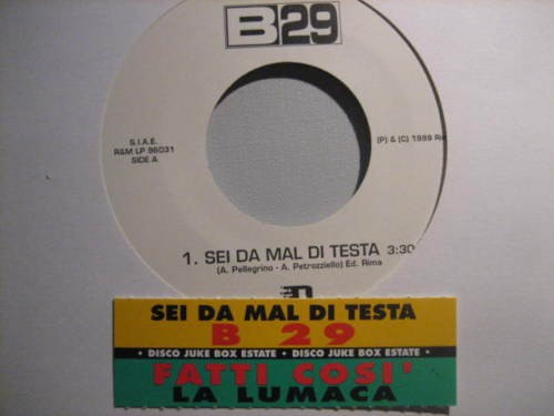 B29 sei mal testa - di, testa"