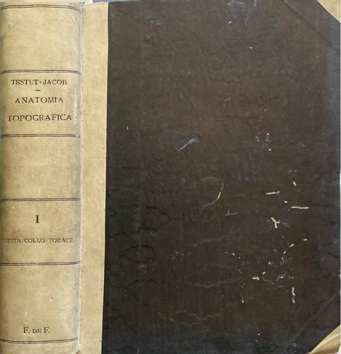 Trattato anatomia - trattato,